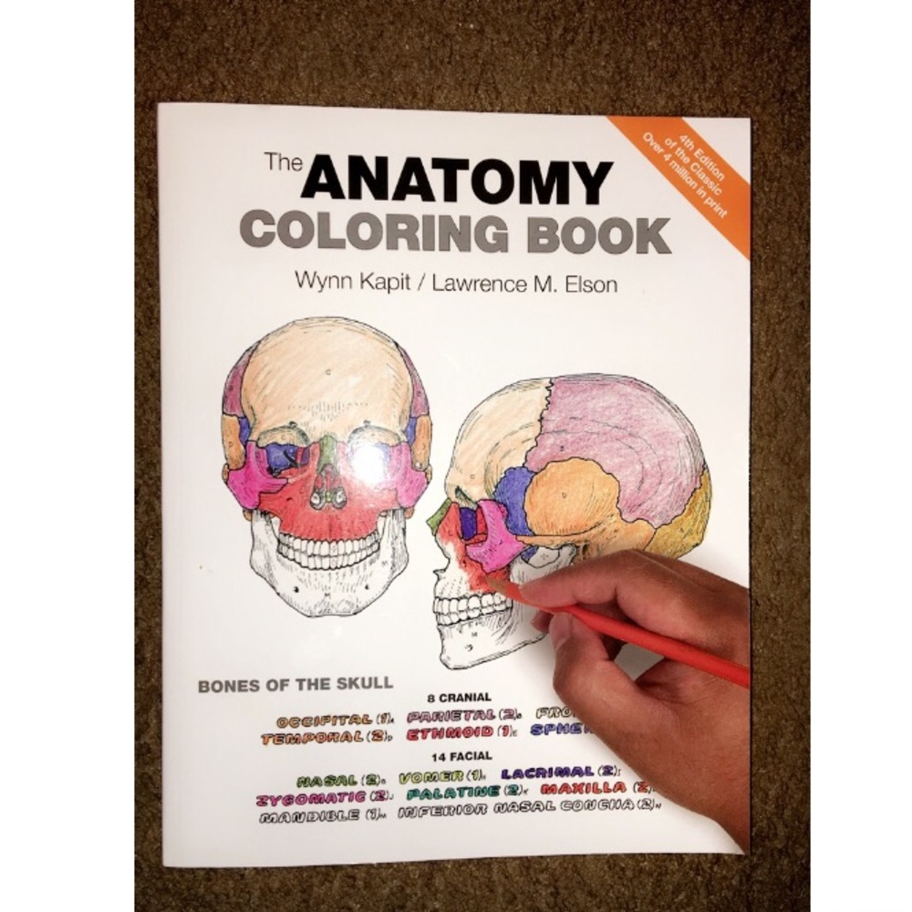 ‼️Brand NEW‼️ Anatomy Coloring Book